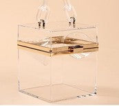 Square Transparent Purse
