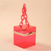 Square Transparent Purse