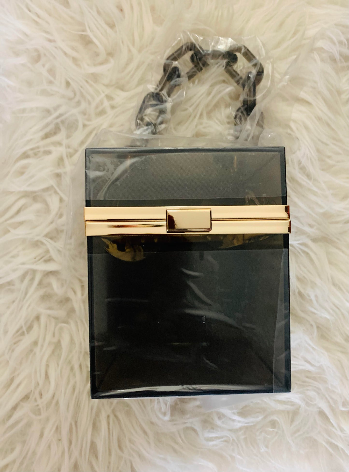 Square Transparent Purse